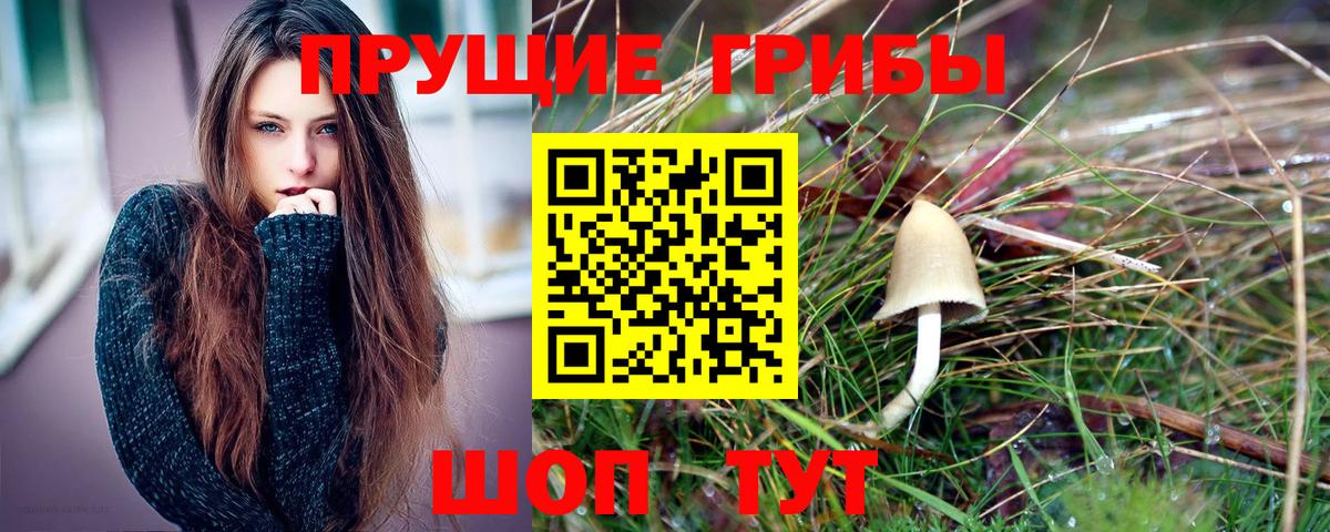 Галлюциногенные грибы Magic Shrooms  Вход с VPN  Тулун 